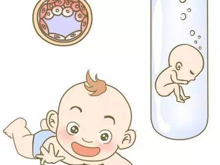 包生男孩公司